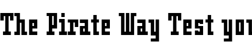 Font : Oblong-Bold 2 Custom Text : The Pirate Way Test your own text here Click to download or to view this font on a tshirt that can be custom printed in Bali